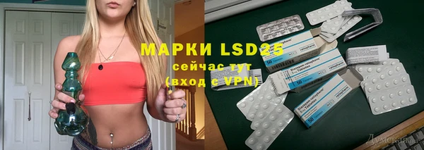 стаф Карпинск