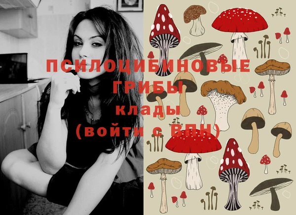 герыч Медвежьегорск